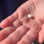 knocked out tooth
